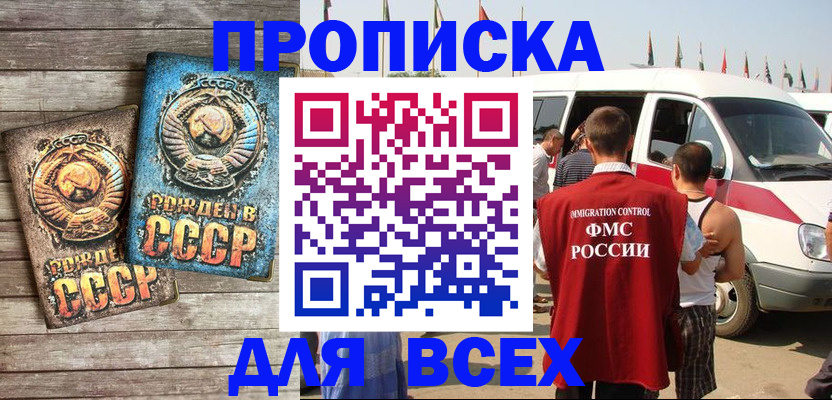 временная регистрация собственник в Мончегорске